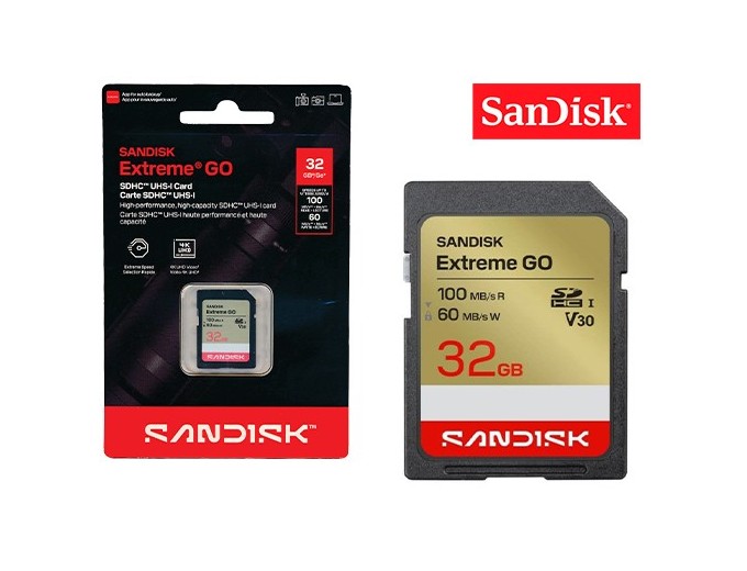 SanDisk SDHC Extreme 32Go (100MB s)