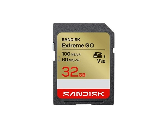 SanDisk SDHC Extreme 32Go (100MB s)