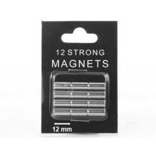 DEKNUDT 12 PLOTS FINS MAGNETIQUES ARGENT