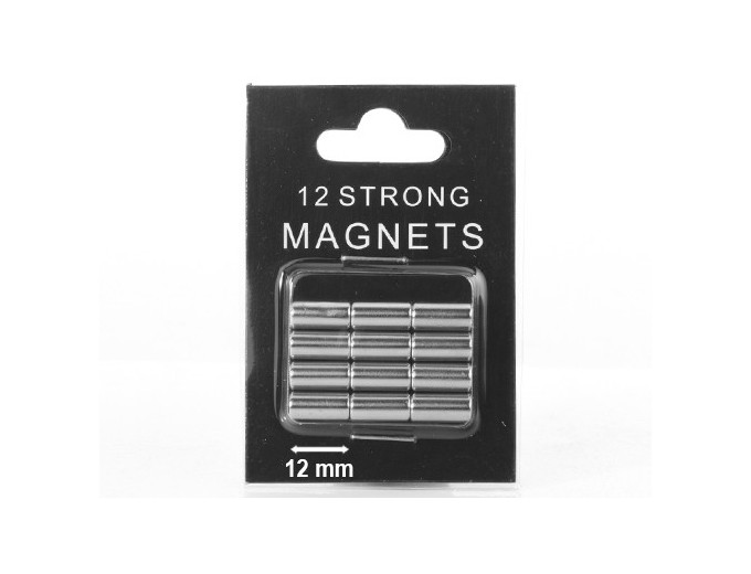 DEKNUDT 12 PLOTS FINS MAGNETIQUES ARGENT