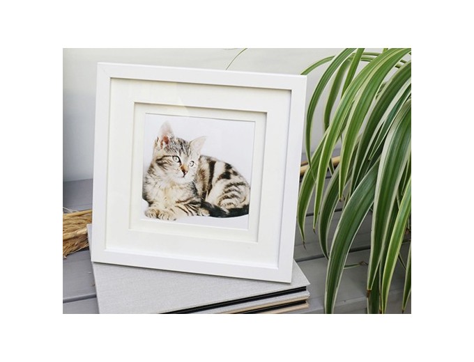 Deknudt cadre avec passe-partout double 1 photo S65KP1