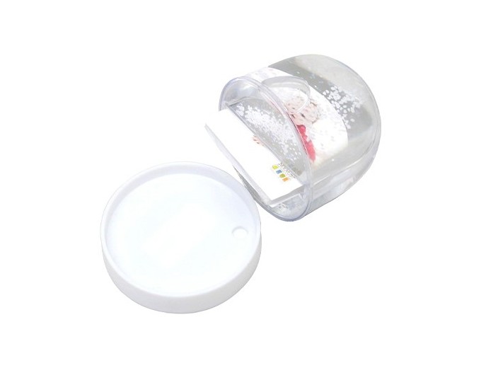 DEKNUDT BOULE DE NEIGE PHOTO 62 X 68 HAUTEUR 9CM