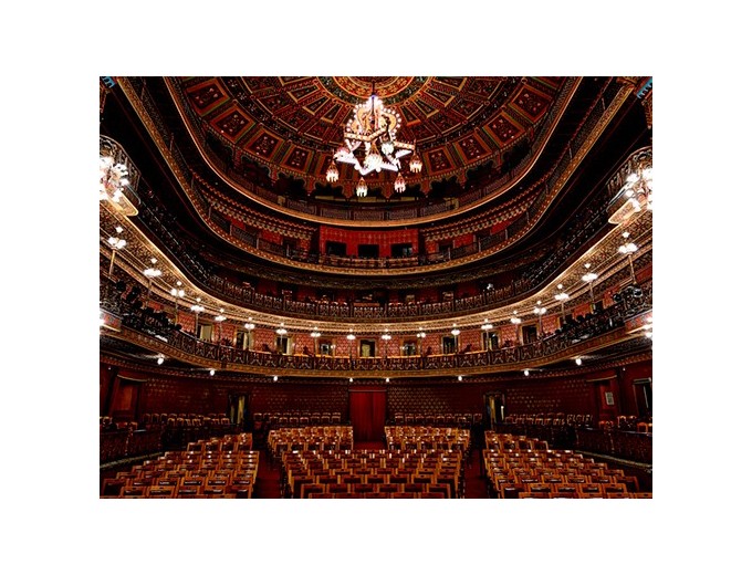 NIKON ZF   24-70mm F 4