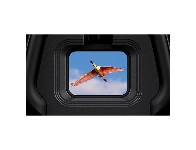 NIKON Z6III    Z 24-200 f 4-63VR