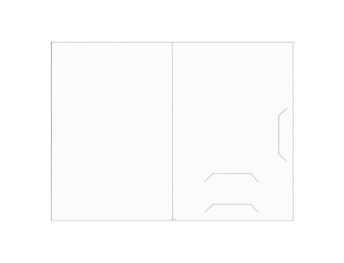 100 POCHETTES PHOTOS  IDENTITES CONFORMES