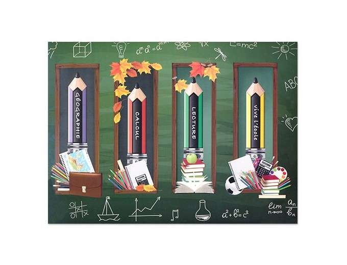 100 CHEMISES SCOL  CRAYONS  13x18 15x21 18x24