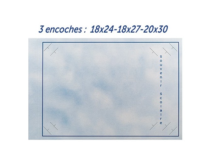 100 CHEMISES SCOLAIRE L DE VINCI 18x24 18x27 20x30