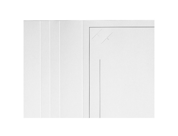 100 CHEMISES REPORTAGE FILET NOIR POUR 18X24,15X23