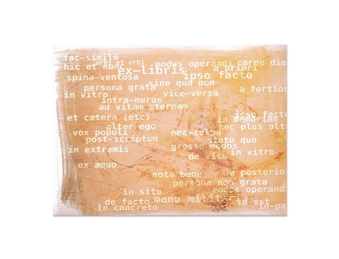 100 CHEMISES SCOL  LATIN  13x18 15x21 18x24 Sur co