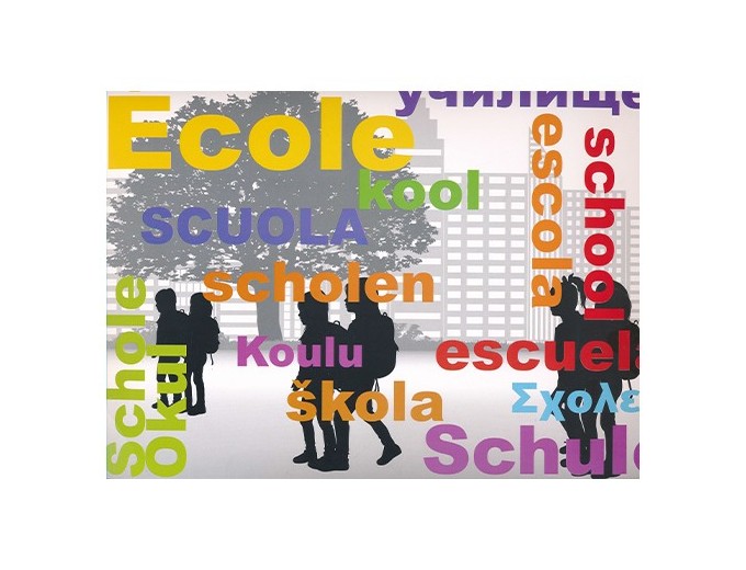 100 CHEMISES SCOL  ECOLE  18x24 18x27 20x30