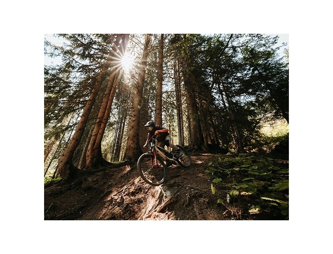 CANON EOS R6 Mark II    RF 24-105  f 4-71 IS STM