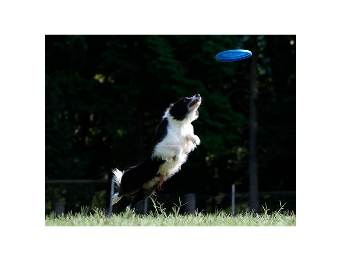 CANON EOS R8     RF 24-50 F45-63