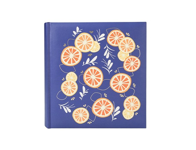 ALBUM POCHMEMO AGRUMES BLEU 200PH Format 25x225