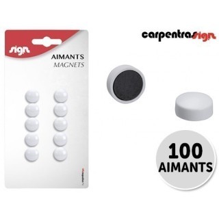 ERICA BLISTER DE 10 AIMANTS BLANCS (Diam 9mm)