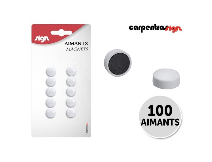 ERICA BLISTER DE 10 AIMANTS BLANCS (Diam 9mm)