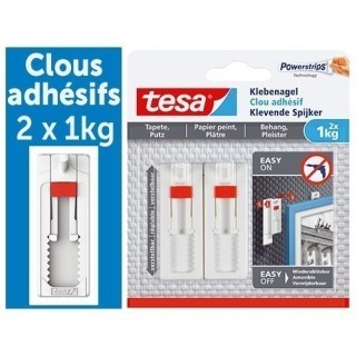 BOITE DE 2 CLOUS ADHESIFS AJUSTABLES TESA 1KG