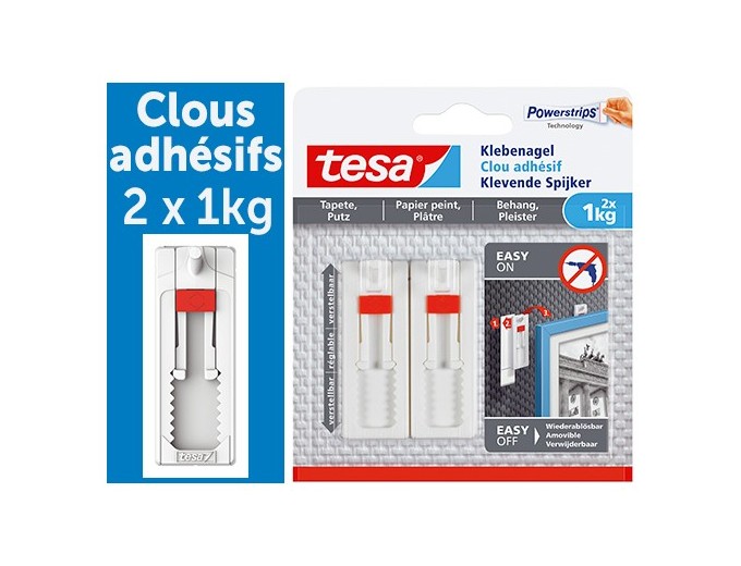 BOITE DE 2 CLOUS ADHESIFS AJUSTABLES TESA 1KG