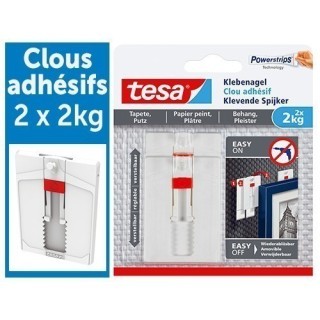 BOITE DE 2 CLOUS ADHESIFS AJUSTABLES TESA 2KG