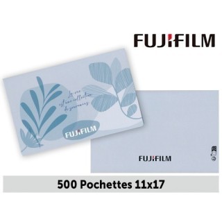 FUJI 500 x Pochettes     11 x 17