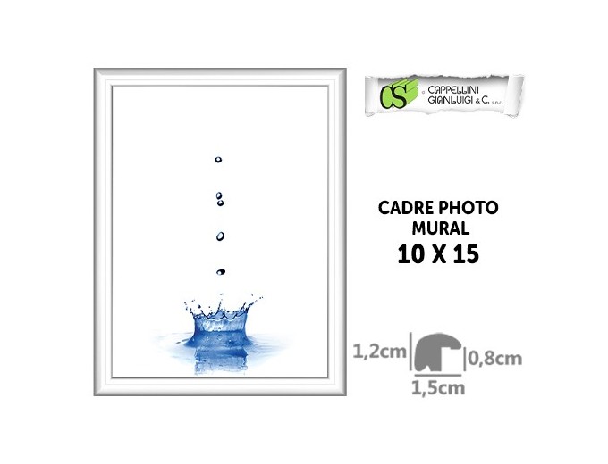 Cappellini cadre photo BROOKLIN 1515