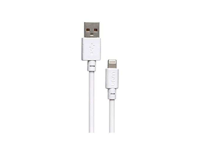 **CAC 24 A  CABLE LGHTNING BLANC COMP APPLE(1)