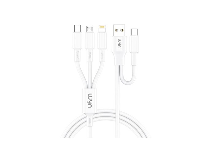 CABLE 5 EN 1  STANDARD   24A            (1)