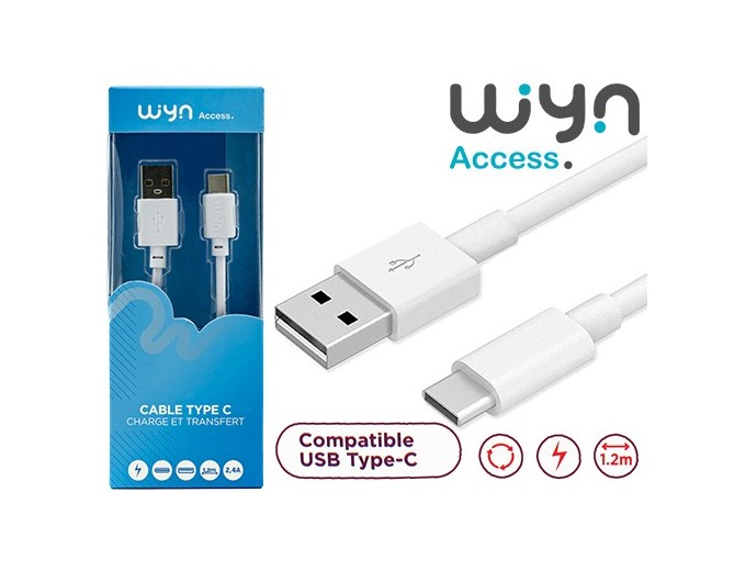 CABLE TYPE-C STANDARD BLANC 12M  24A       (1)