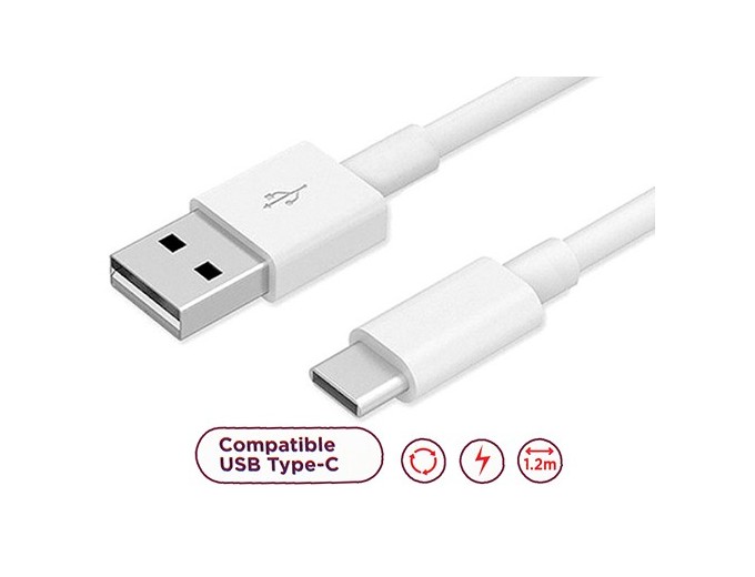 CABLE TYPE-C STANDARD BLANC 12M  24A       (1)