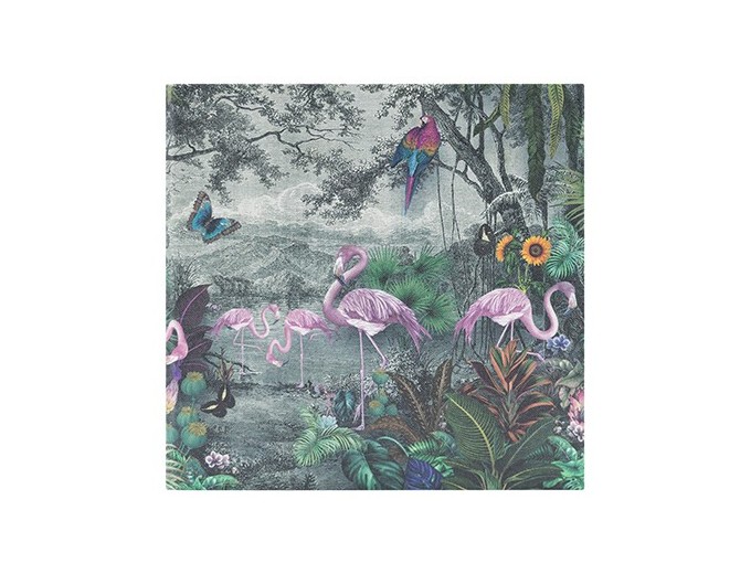 PANODIA FLAMANT ALBUM 200V MEMO 2v p 11,5X15