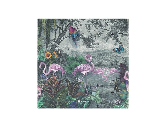 PANODIA FLAMANT ALBUM 200V MEMO 2v p 11,5X15