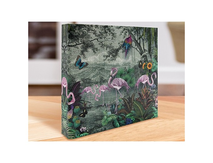 PANODIA FLAMANT ALBUM 200V MEMO 2v p 11,5X15