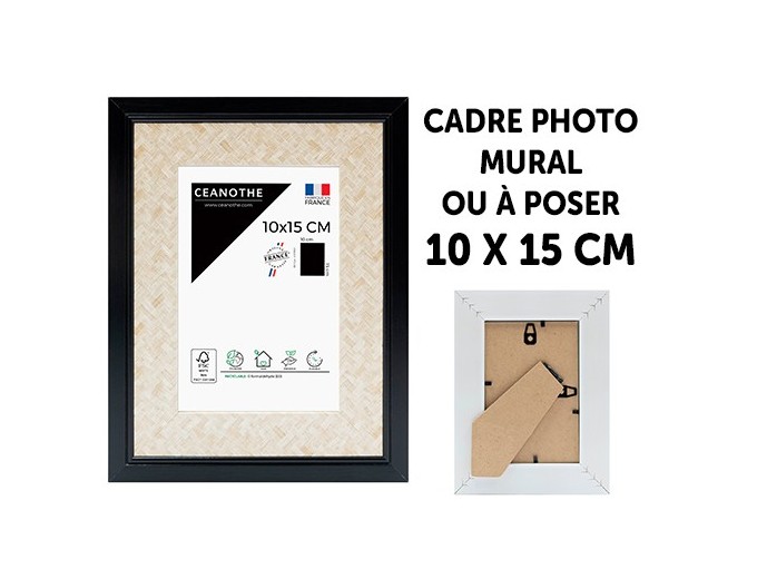 Ceanothe cadre PALMA avec passe-partout