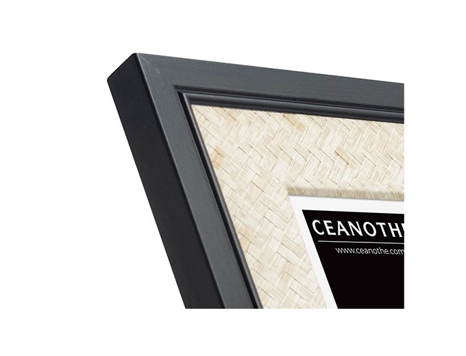 Ceanothe cadre PALMA avec passe-partout