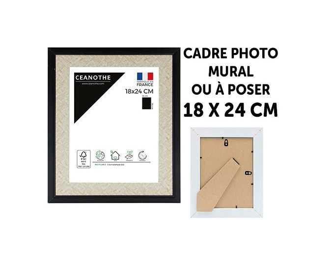 Ceanothe cadre PALMA avec passe-partout