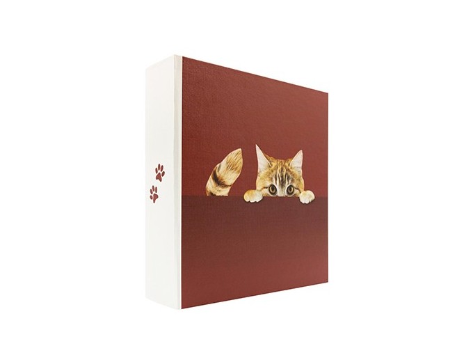 PANODIA ALBUM CACHE CHAT 200V MEMO 2v p 11,5X15