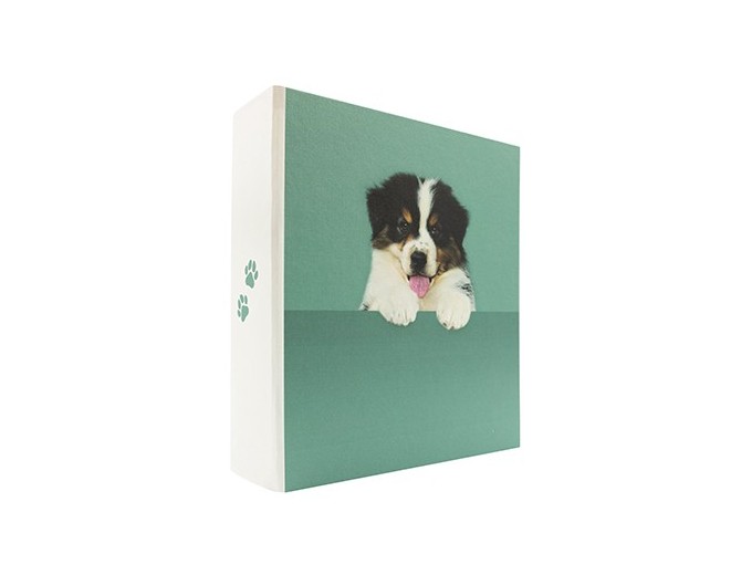 PANODIA ALBUM CACHE CHIEN 200V MEMO 2v p 11,5X15