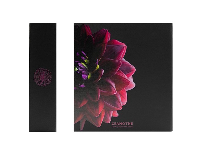 PANODIA ALBUM DAHLIA 200V MEMO 2v p 11,5X15