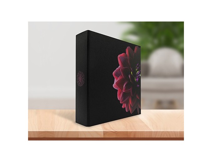 PANODIA ALBUM DAHLIA 200V MEMO 2v p 11,5X15