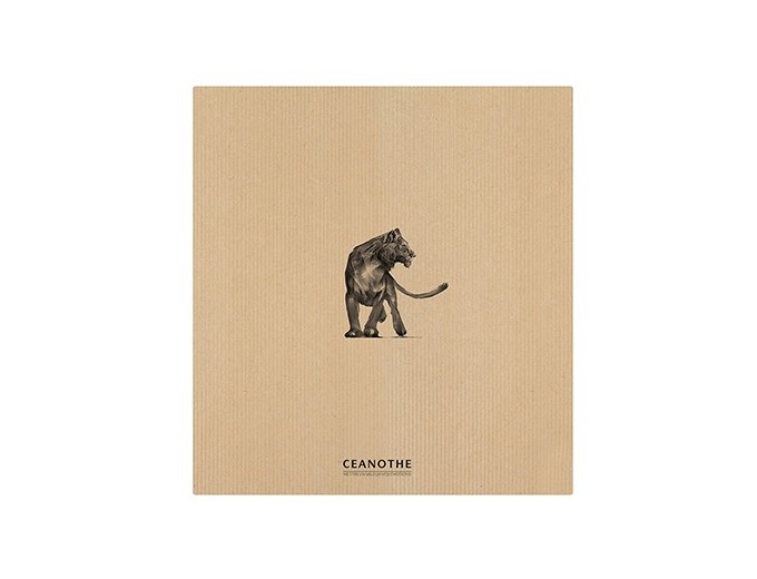 PANODIA  ALBUM ADH KRAFT SAUVAGE 30P 120V 31X31CM