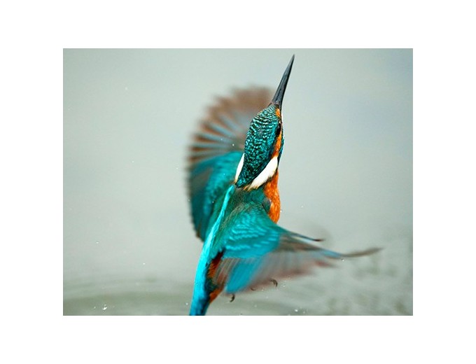 SONY  OBJECTIF FE 70-200mm F28 GM2