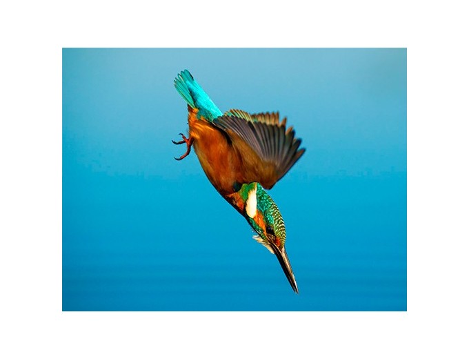 SONY  OBJECTIF FE 70-200mm F28 GM2