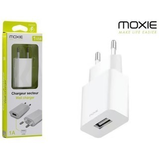 CHARGEUR SECTEUR BLANC  AVEC ENTREE USB    1A (1)