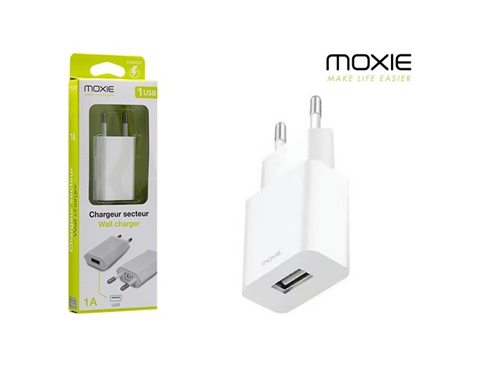CHARGEUR SECTEUR BLANC  AVEC ENTREE USB    1A (1)