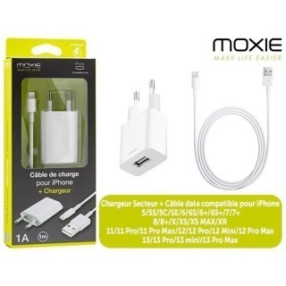 PACK CHARGEUR IPHONE 5 6 7   ADAPT SECTEUR (1)