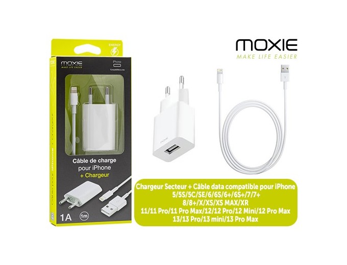 PACK CHARGEUR IPHONE 5 6 7   ADAPT SECTEUR (1)
