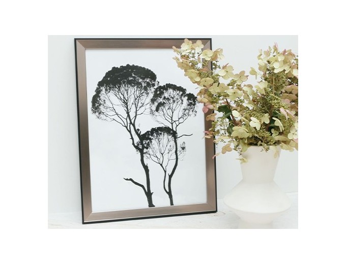 Deknudt cadre résine filet extérieur S45F