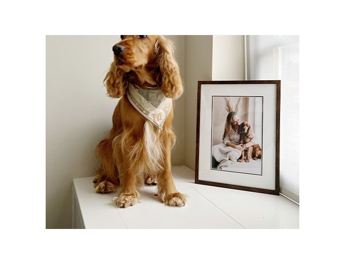 DEKNUDT CADRE BOIS BRUN LARG14 cm   PP 18x24cm