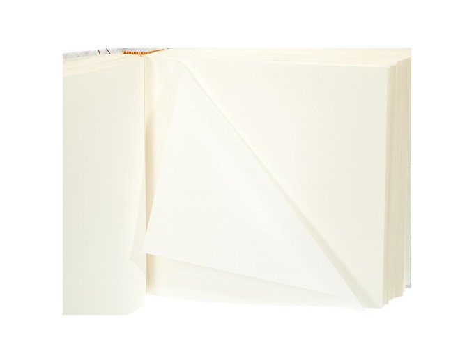 Erica album 100ph 290x320 SQUARE