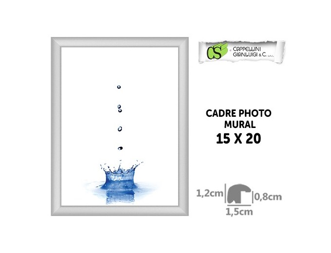 Cappellini cadre photo BROOKLIN 1515