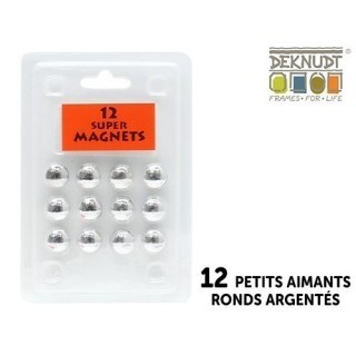 DEKNUDT 12 PETITS AIMANTS  ARGENTES RONDS